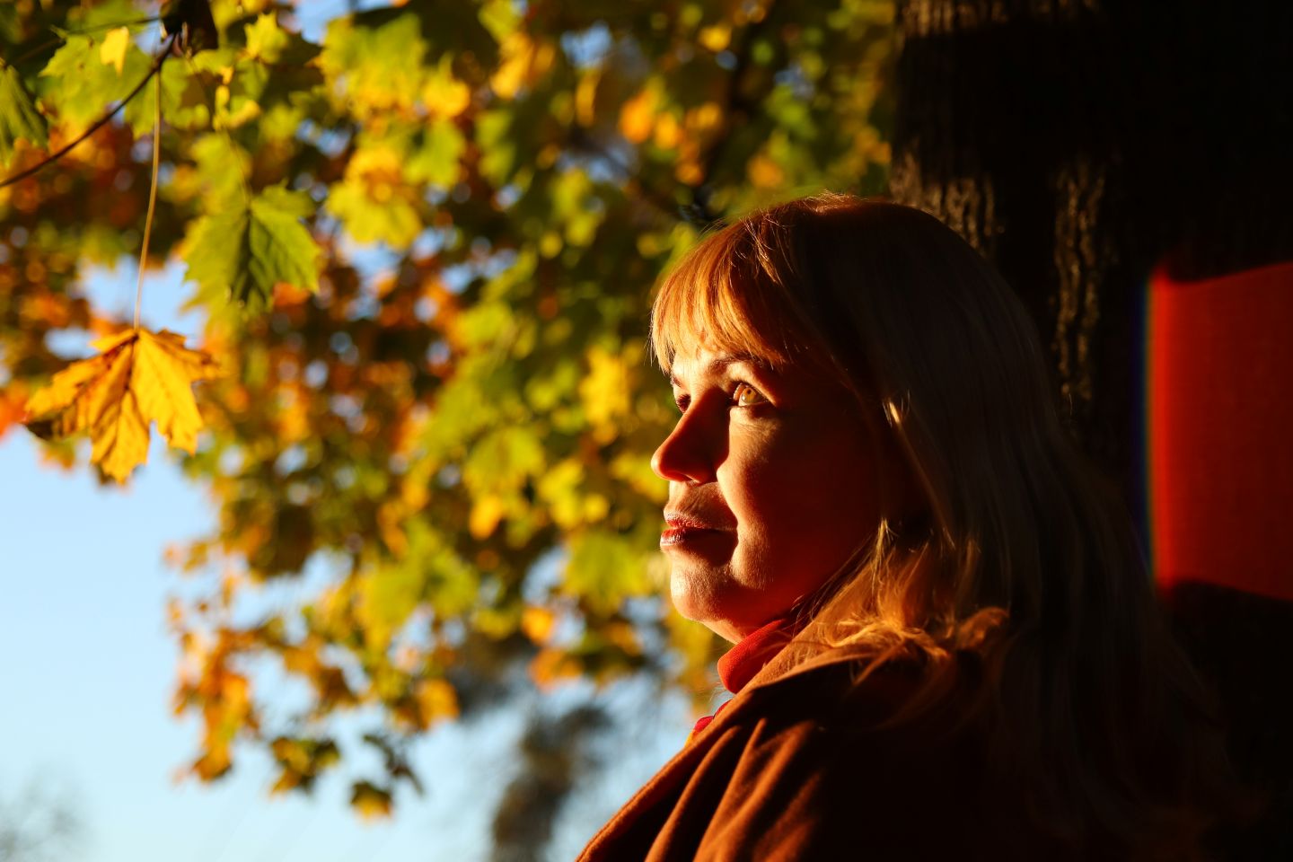 Dry Eyes in the Fall: Seasonal Triggers and Relief Options